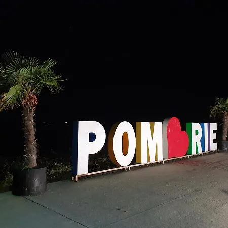 Taligarov * Pomorie