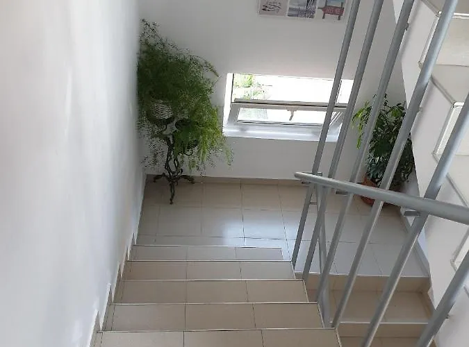 Konukevi Taligarov Ahyolu